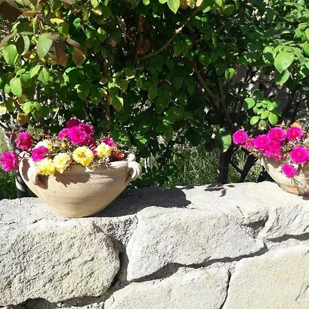 Casa vacanze Villetta Eoliana Con Piscina Gratuita Dal 13 Luglio Al 1 Settembre